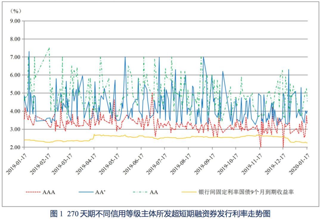 河南洋葱最新价格探析，市场走势与各方观点分析
