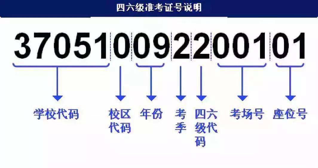 香港二四六天免费开奖,快捷解决方案问题_超值版165.430-7