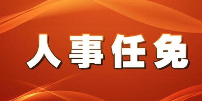 金塔最新人事任免，变革扬帆起航，自信与成就感铸就励志之旅