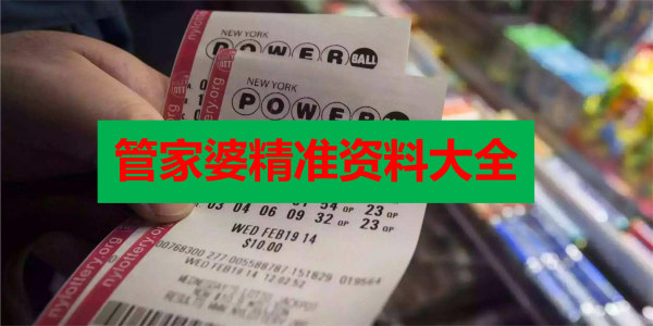 777888精准管家婆免费,迅速执行计划设计_动态版46.127-6