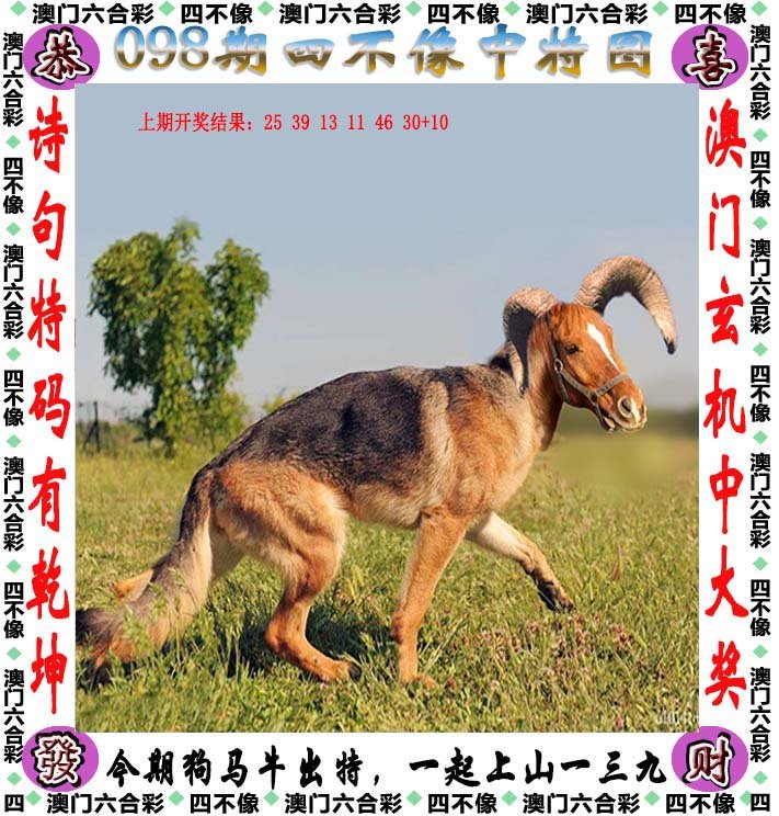 2024新奥正版资料四不像,合理化决策实施评审_PalmOS78.709-4