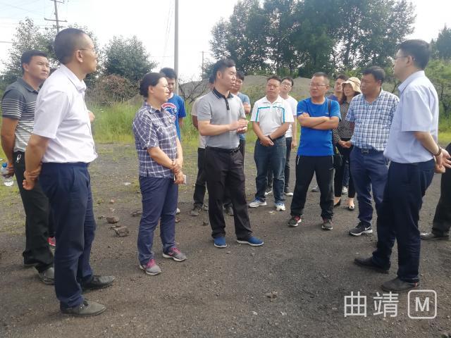 金龙资料版,实地数据分析方案_GT56.243-7
