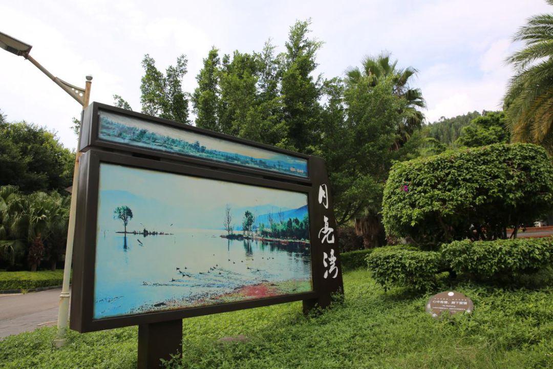 西昌厨师最新招聘，探寻自然美食之旅，开启内心宁静之旅