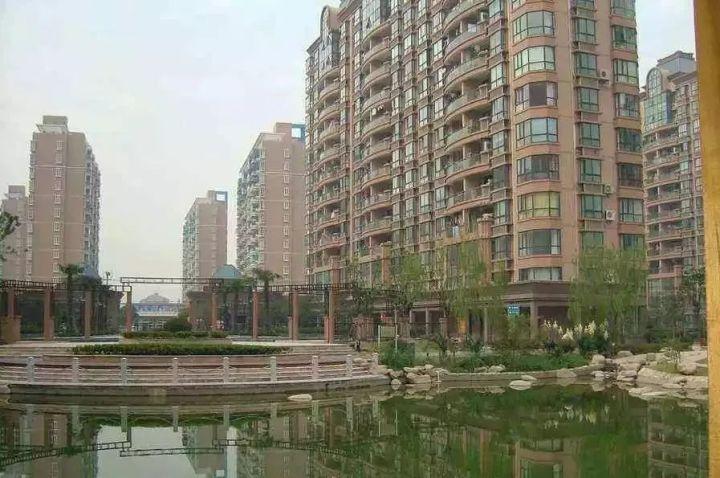 上海最新楼盘网，楼市焦点与多维度思考