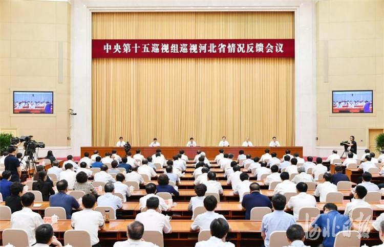 中央巡视组最新动态深度解读与剖析