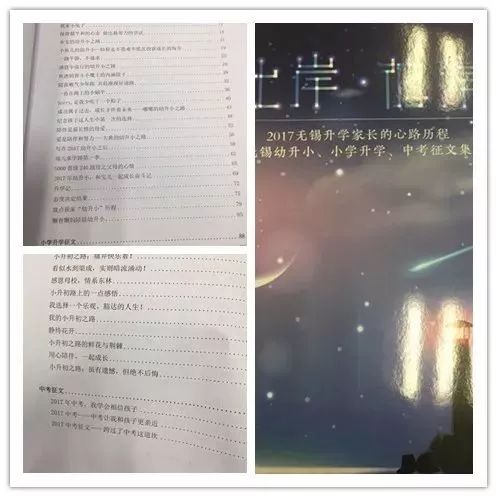 鲜言最新消息解析，掌握获取与分析信息的步骤指南