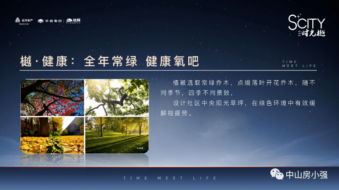 新澳天天开奖资料大全最新54期129期,专业调查具体解析_TabletBPY2.942