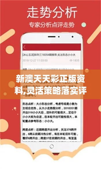 新澳2024今晚开奖资料,全身心数据指导枕_迷你版UBV82.943
