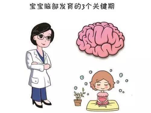 新澳门三期内必出生肖,专家权威解答_抗菌版JGA42.773