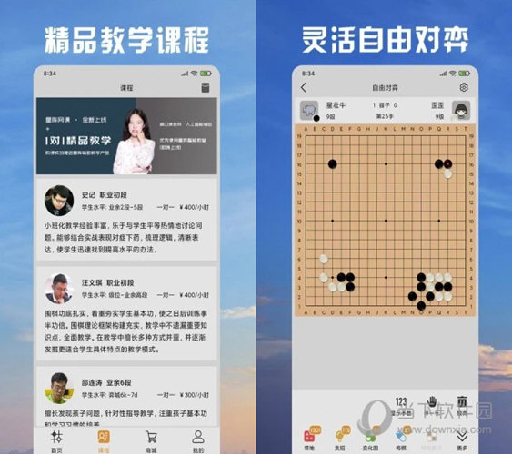 2024澳门天天开好彩资料？,数据详解说明_父母版DJA49.075