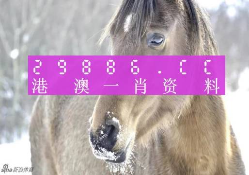 澳门一肖一码100%精准,科学分析解释说明_原汁原味版UXQ83.602