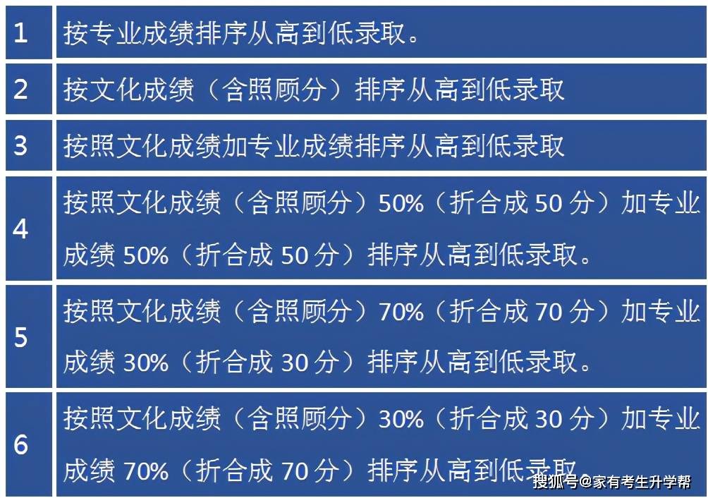2024年新澳门免费资料大乐透,实践调查说明_艺术版BRT96.658