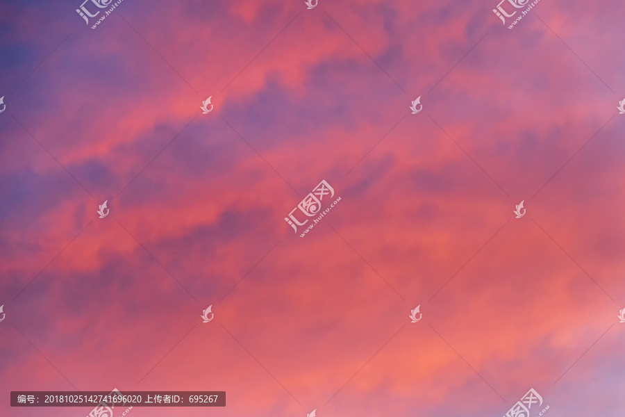 红霞，从无名小卒到时代之星的璀璨之路最新消息