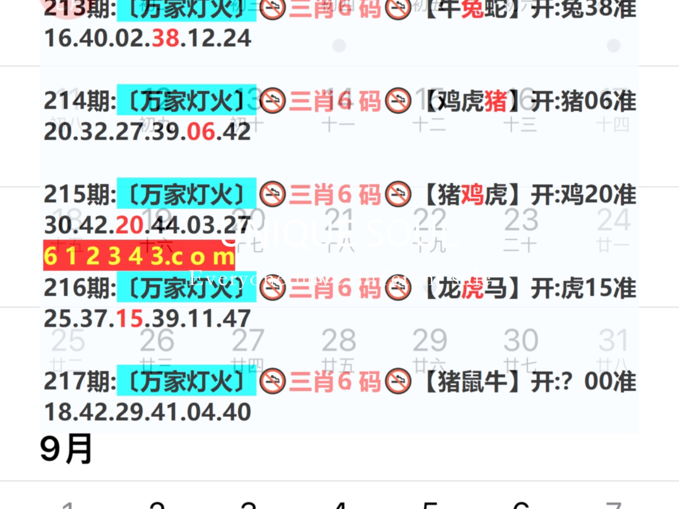 2024新澳门天天开好彩大全孔的五伏,快速处理计划_语音版IMJ50.11