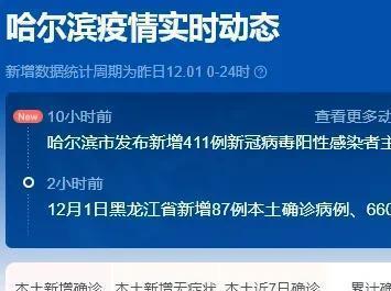 哈尔滨疫情最新动态，12月疫情分析与论述