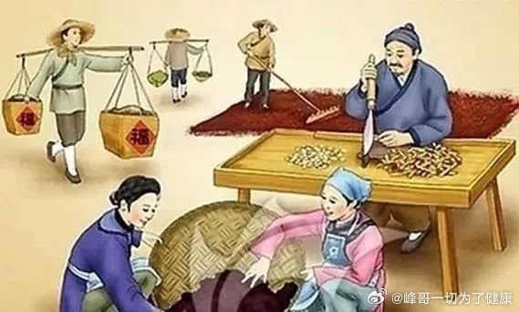 深度解析与观点阐述 第6页