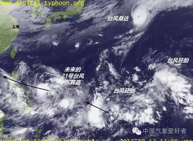 风雨中的励志故事