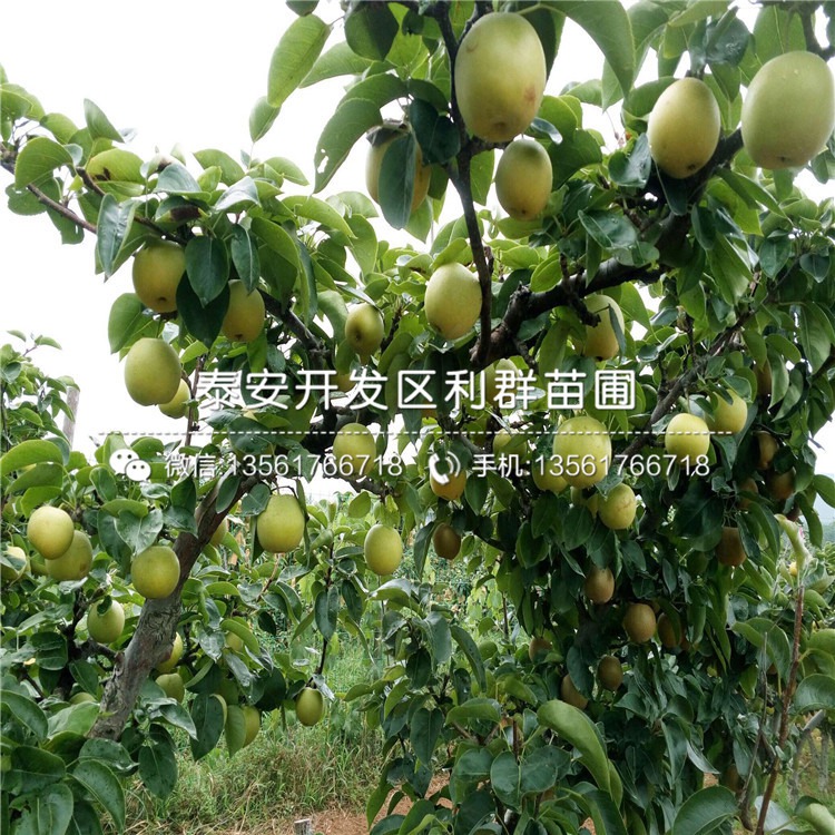 观点阐述 第2页