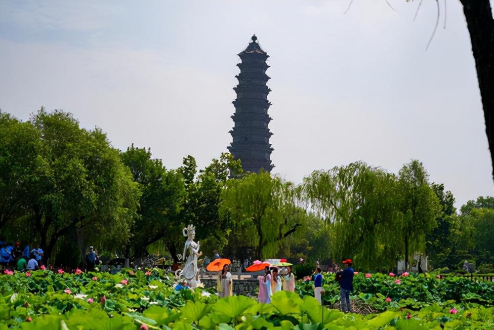 深大通最新动态，小巷中的特色小店，活力四溢的隐藏宝藏