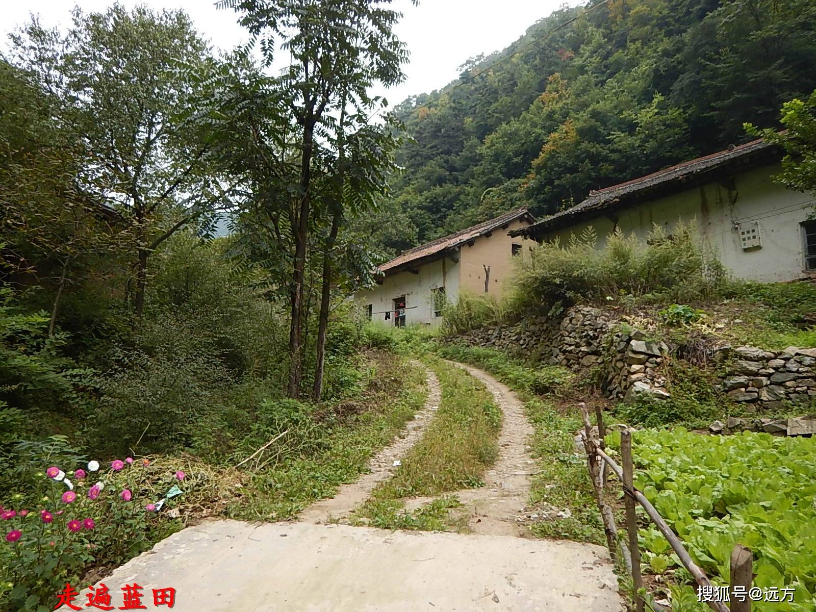 临泉县各镇行政村最新探索，自然美景下的心灵之旅