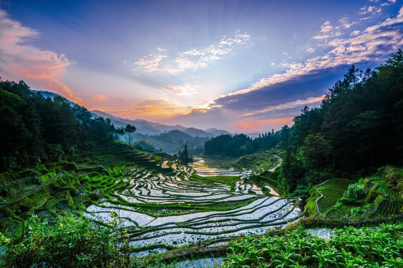 湖南百强镇最新排行榜，自然美景的探索之旅