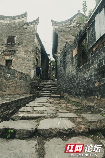 郴州市新闻网，拥抱自然，心灵宁静之旅的最新消息