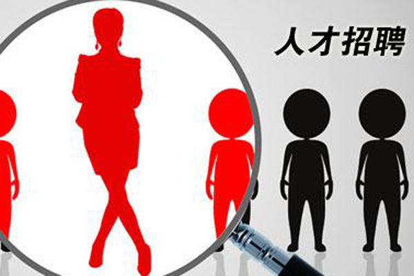 大竹人才网最新招聘信息网,大竹人才网最新招聘信息网，观点阐述与分析
