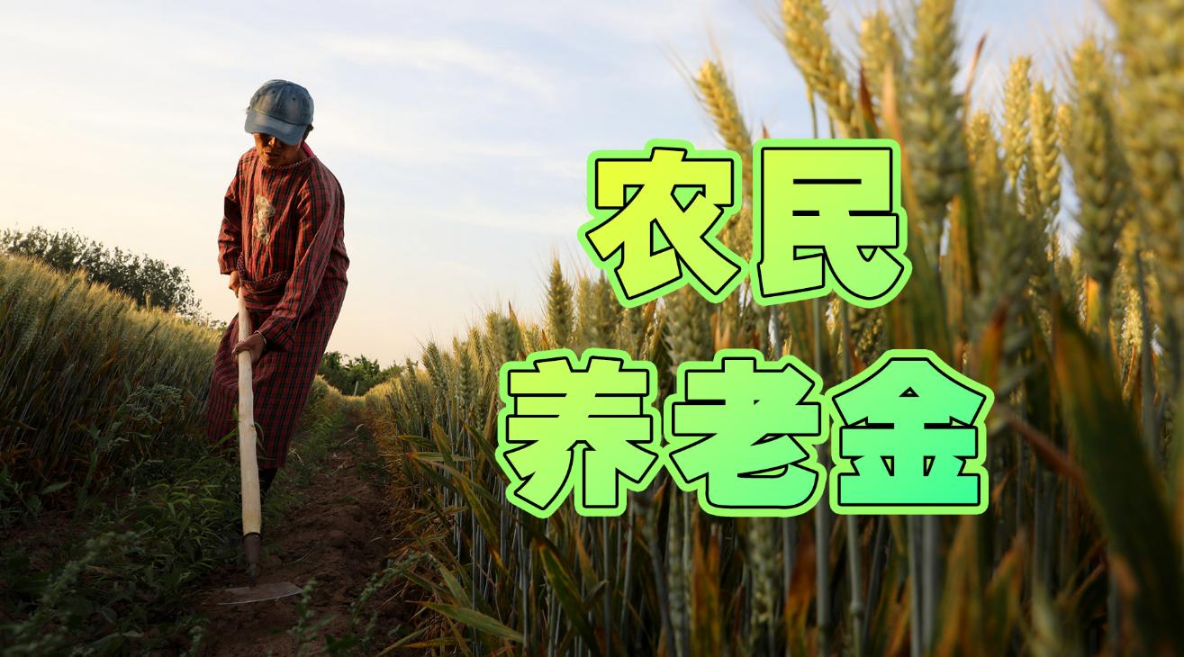 四川农保最新政策详解，申请与享受农保福利的指南