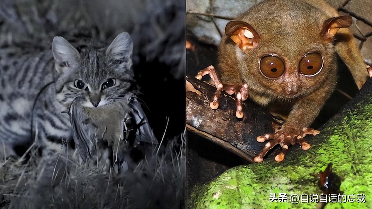 探索大自然