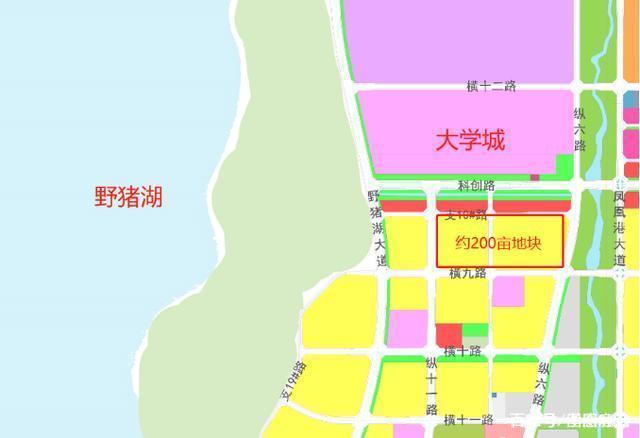 哈尔滨临空经济最新发展及其影响深度解析