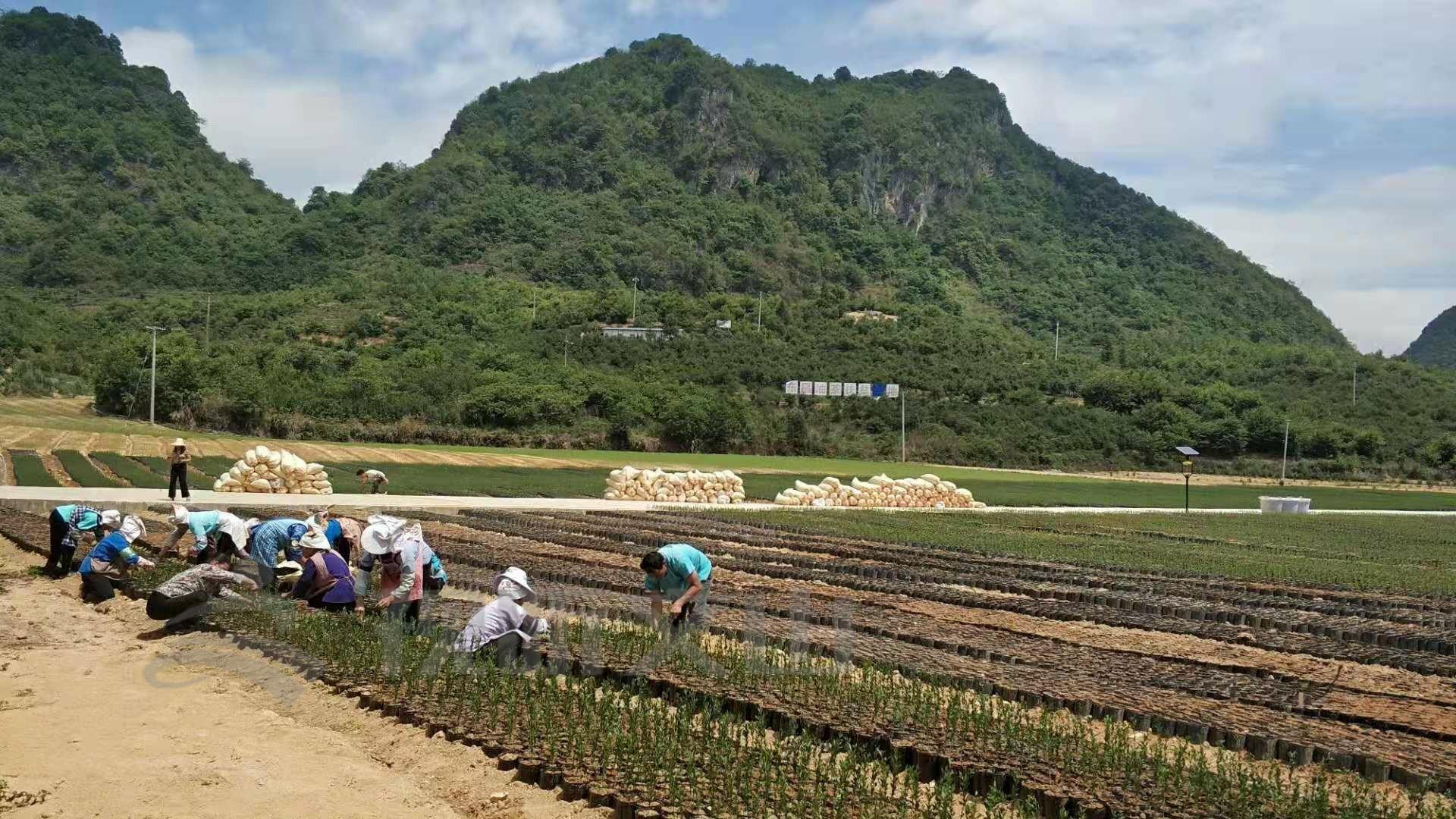 清水河乡搬迁揭秘，最新动态与背后故事曝光