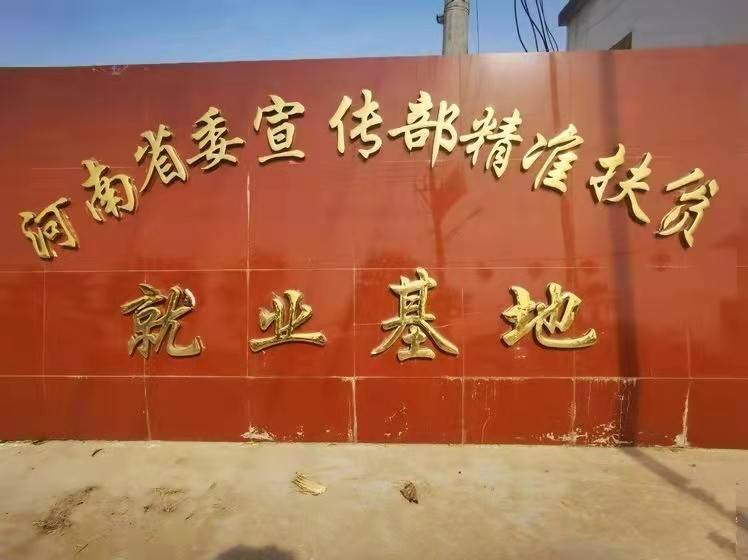 河南黎园春最新一期，时代印记与文化传承的融合