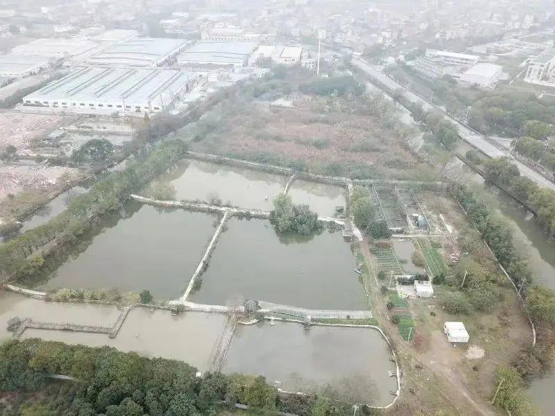 临浦二手房市场最新动态，发布、市场背景与地位分析