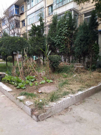 虞城县二手房最新信息及小巷深处的特色小店探索