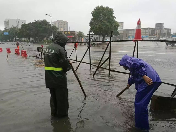 浙江台风来袭之际，学习之光照亮励志之路，自信与成就感的励志故事