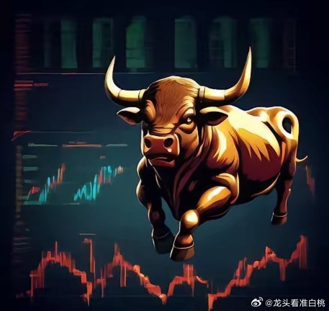 最新十大牛散吴陈发的投资之道揭秘